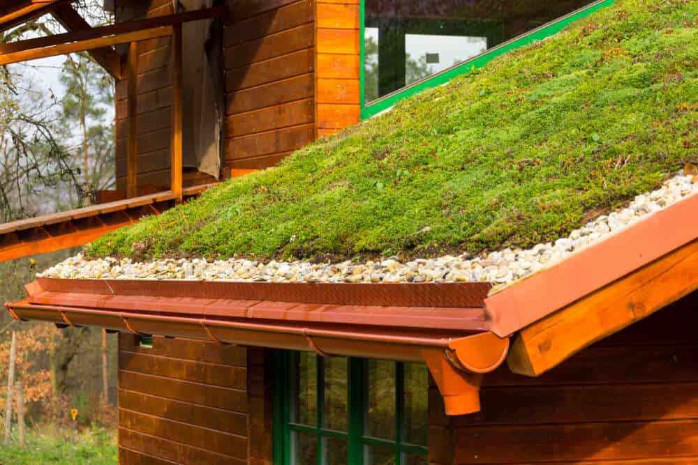 living roof is one of the 2024 roofing trends in Austin, TX