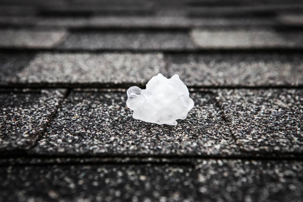hail sits on asphalt shingles - common signs of hail damage on Austin roofs