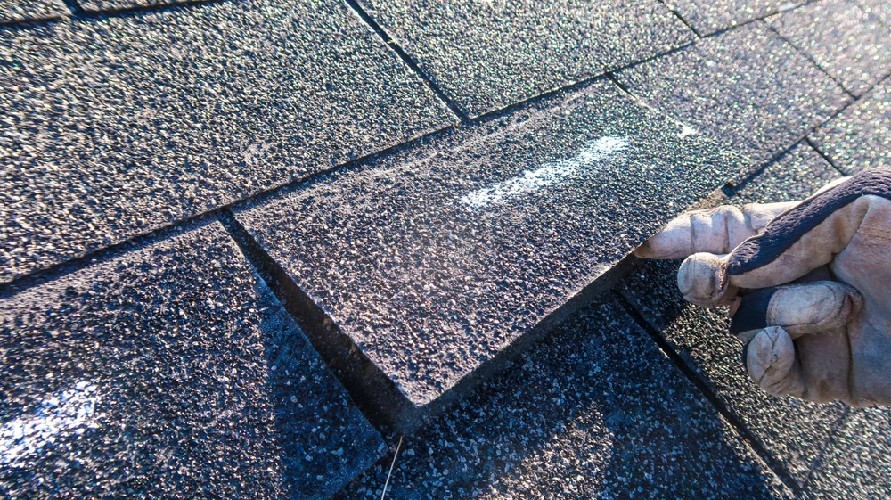 Gloved hand inspects sunlit shingle on commercial roof, considering insurance estimate.