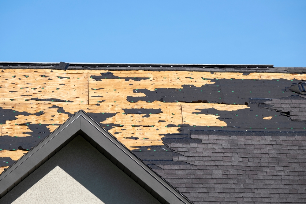 Exposed plywood on a shingled commercial roof, vulnerable to hail damage.